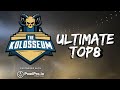 THE KOLOSSEUM ULTIMATE TOP 8