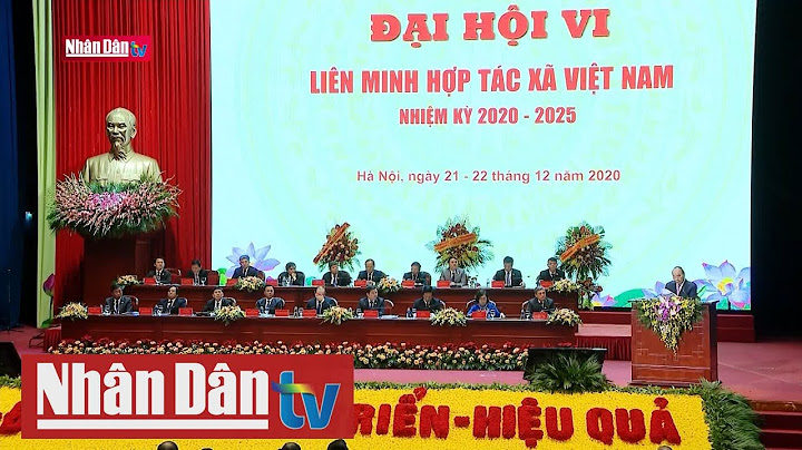 Kinh tế tập thể là gì cho ví dụ năm 2024