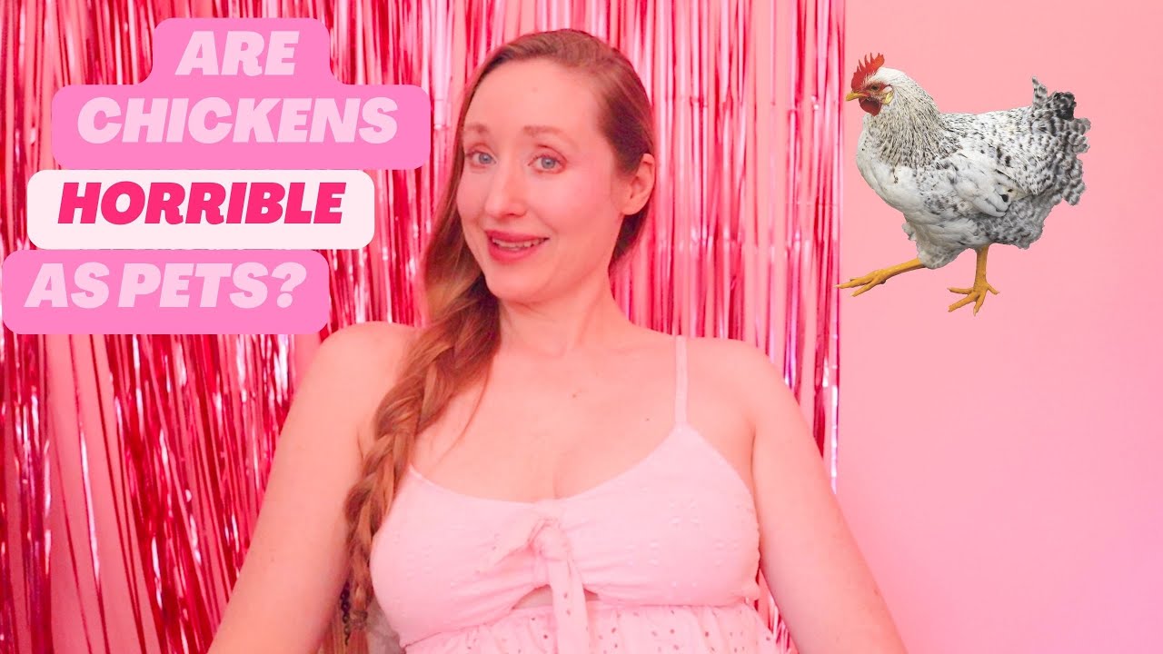 Are chickens good investments in your urban homestead? YouTube