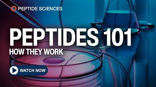 What is a Peptide and How do They Work