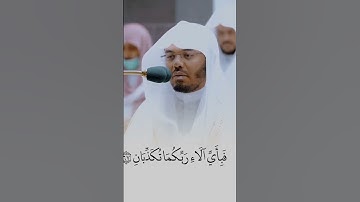 ﴿فيهِما عَينانِ نَضّاخَتانِ﴾ بقراءة ياسر الدوسري سورة الرحمن