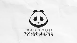 Video thumbnail of "I Belong to the Zoo - Paumanhin (Official Lyric Video)"