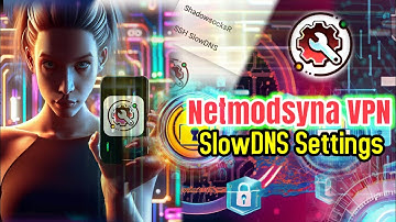 Netmod Syna VPN SSH Slow DNS settings | Tutorial
