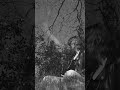 The secrets of the forest – Channeling witches in the German forest