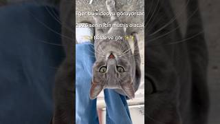 Eğer Bu Videoyu Görüyorsan.. 2026 Senin Yılın Olacak Şfet