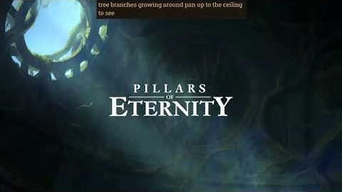 [Twitch Archive] Pillars of Eternity, Audio Described, Part 1: Character Creation