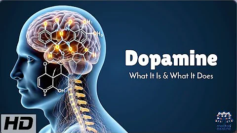 Dopamine Explained: How It Controls Your Brain's Reward System!