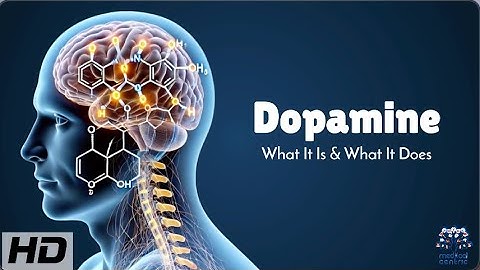 Dopamine Explained: How It Controls Your Brain