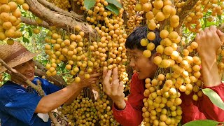 สูตร สุดยอด ดก ใหญ่ หวาน ด้วยปลาและดอกไม้ ใส่วันนี้หวานพรุ่งนี้ | เอิร์ธสดชื่น