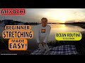 Simple flexibility exercises examples for beginners to seniors meyochi ocean routine 522019