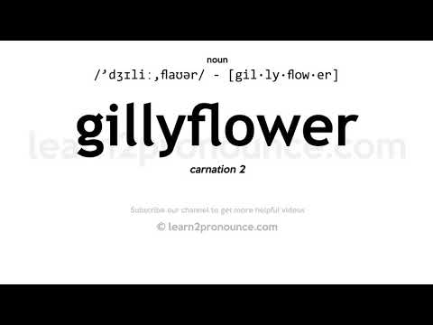 Video: ¿Gilliflower es un clavel?