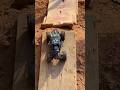 RC Truck Crazy Offroad Run 🔥
