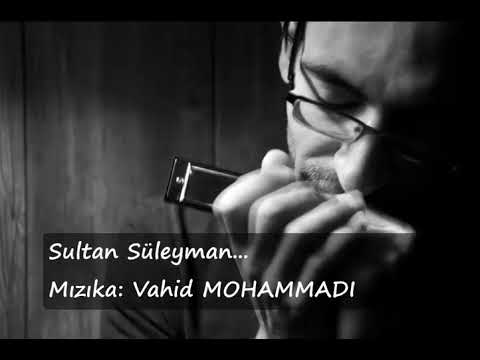 Sultan Süleyman / Mızıka — Vahid MOHAMMADI