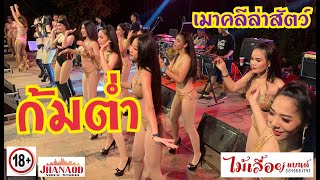 ก้มต่ำ เมาคลีล่าสัตว์ แด้นช์อย่างแจ่ม - วงไม้เลื้อยแบนด์ JHANAODวีดีโอ
