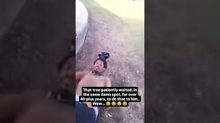 Dude really knocked himself out by a tree!! #tko #ko #tree #shorts Net Worth