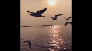 untitled - joie grey (Instrumental)