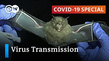 How does COVID-19 change when it infects animals, and what are the implications?