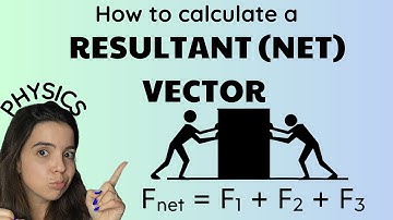 Resultant vector | Vector addition: Grade 10 Physics