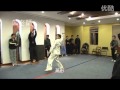 [??????] ??? ??? ???????? The use of Bagua Palm and Xingyi Quan in Action