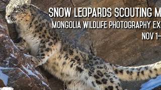 Mongolia Snow Leopards Scouting Mission