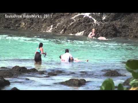 Tourists washed off rocks by big wave