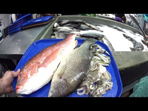 Video: Sådan tager du på hvalsafari i Long Beach, San Pedro eller Los Angeles