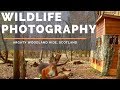 Woodland Hide Wildlife Photography | Argaty Red Kites