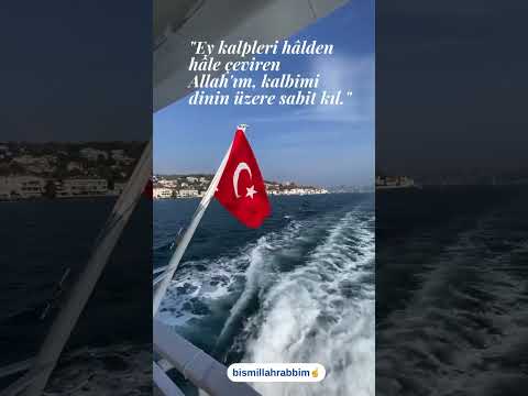 Dünya fani herşey