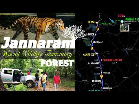 Jannaram Forest | Kawal Tiger Safari Trip @ Jannaram, Adilabad, Telangana, india