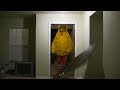 Big Bird Kicks Down Door (Original)