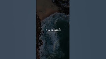 تلاوة خاشعة للشيخ ياسر الدوسري من سورة النجم 🫀🎧 #قران_كريم #تلاوة_خاشعة #ياسر_الدوسري #قرآن #دويتو