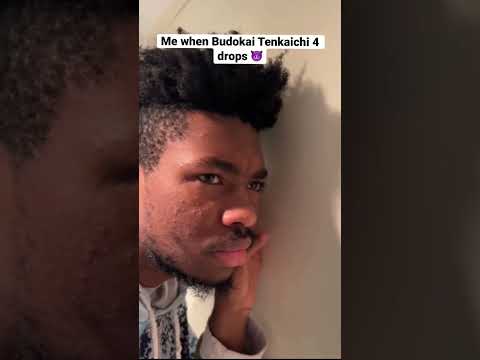 When Budokai Tenkaichi