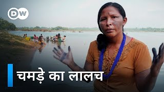 अवैध चमड़ा: अमेजन के जंगलों को कैसे खा रहा है कार उद्योग [Illegal Leather] | DW Documentary हिन्दी