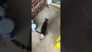 IMG 0368