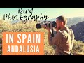 Bird Photography Recce in Spain | Canon 7Dii 100-400mm