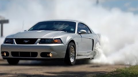 This is WHY you fell in LOVE with Terminator Cobras - 03/04 Cobra Classic Video Compilation