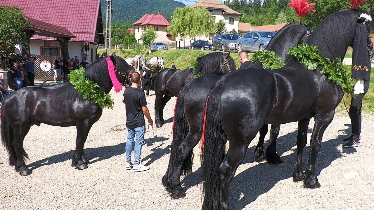 Înmormântarea lui Ioan Cenușă de la Gura Putnei - Bucovina 4 Iulie 2023