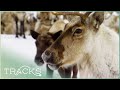 Kamchatka's Nuclear No-Go Zone | Full Documentary | TRACKS