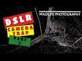 TrailCams-Part3 - DSLR Camera Trapping in the snow and freezing conditions.