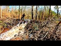 Finally Tearing Out This Monstrous Beaver Dam By Hand!! Part 1 of 3!!