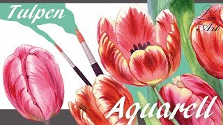 Aquarell Schöne TULPEN malen Blumen Flowers painting process акварель для начинающих Amazing Tulips