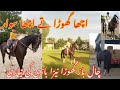 Nezabazi kesay kertay hain  nezabaz ghora nezabazi ki tyari  horse riding   tentpegging