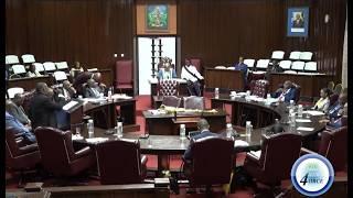 EXTERNAL AFFAIRS MINISTER ADDRESSES 0.6% ECONOMIC DIP