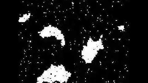 Ising Model Metropolis Hastings Algorithm 2
