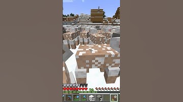 Farming a Double Chest of White Banners | DC shorts #73