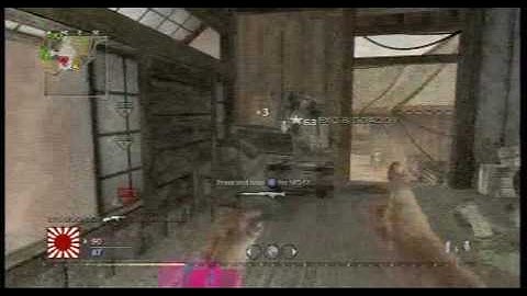 Cod WaW - NEW Default Weapon - MUST WATCH