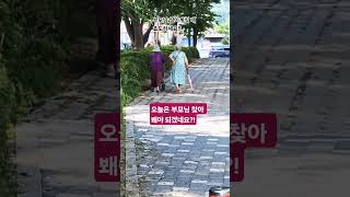 일요일에 일찍 부모님?! #효도 #고인 #행복 #힐링 #여행 #아버지 #삶 #사랑