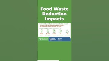 Transforming Food Waste: Impact, Innovation, and a Sustainable Future