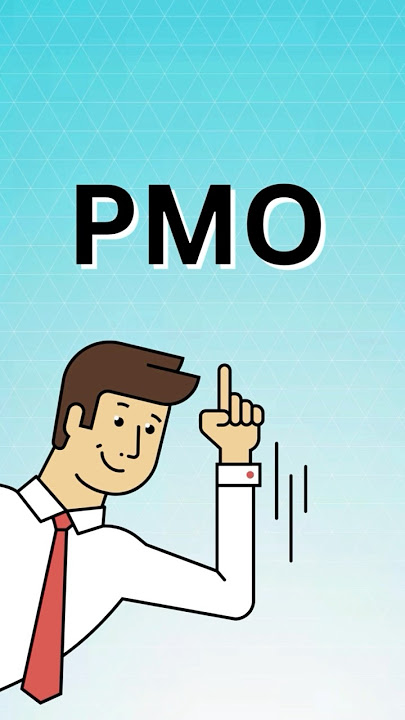 What Does PMO Mean?