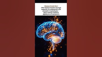 🧠"brain can hold more info than a supercomputer"#BrainFacts#viral #CrazyFacts #ShortsFeed#DidYouKnow